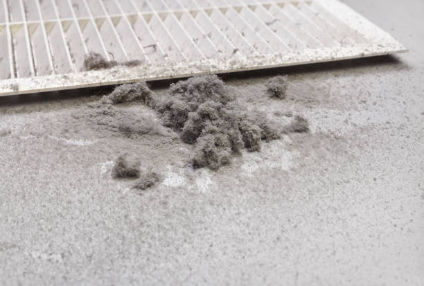 Best Local Air Duct Cleaning Services  in Holbrook, NY