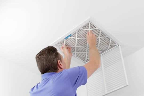 Best Ductwork Cleaning Services  in Holbrook, NY